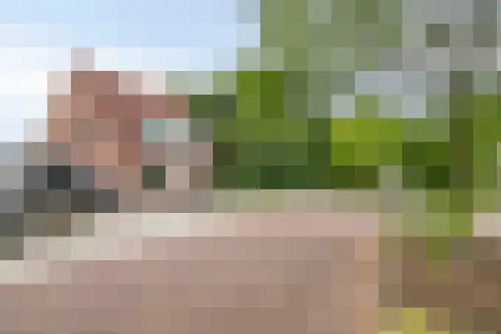 Pluimpot 14 Hansweert thumbnail 44