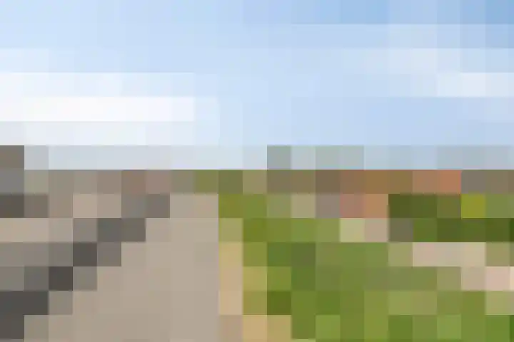 Pluimpot 14 Hansweert thumbnail 46