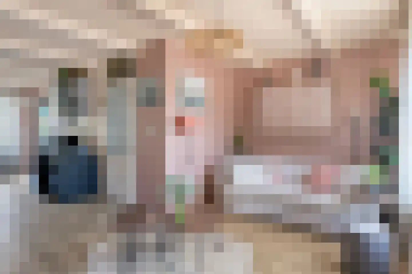 Pluimpot 14 Hansweert thumbnail 5