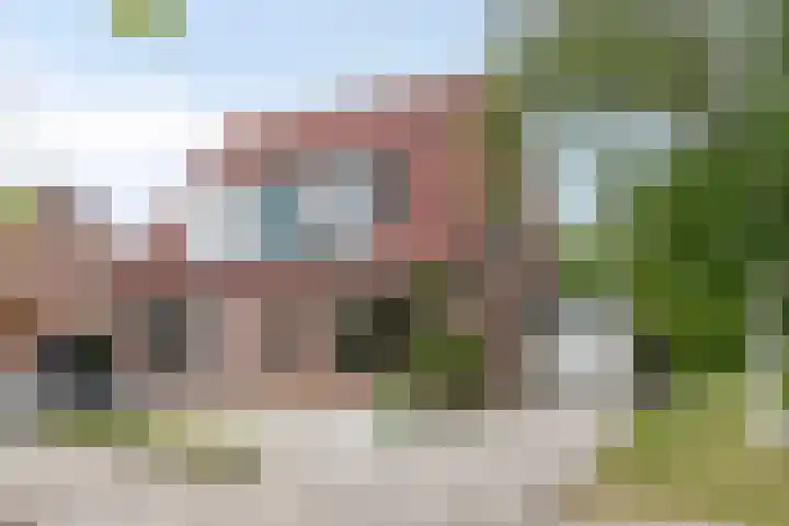 Pluimpot 14 Hansweert thumbnail 51