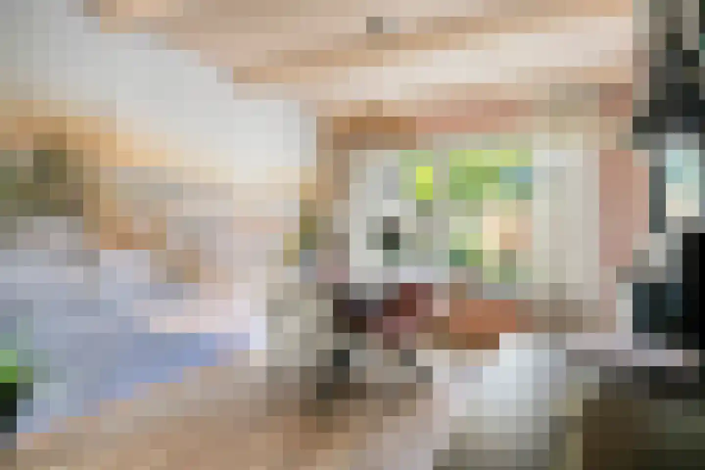 Pluimpot 14 Hansweert thumbnail 6