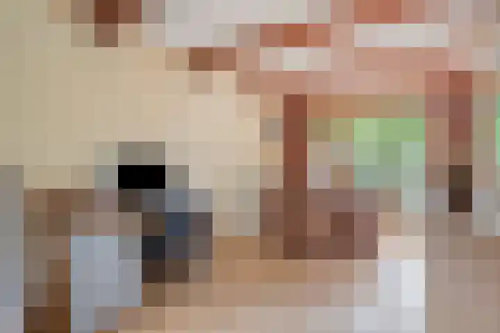 Pluimpot 14 Hansweert thumbnail 7