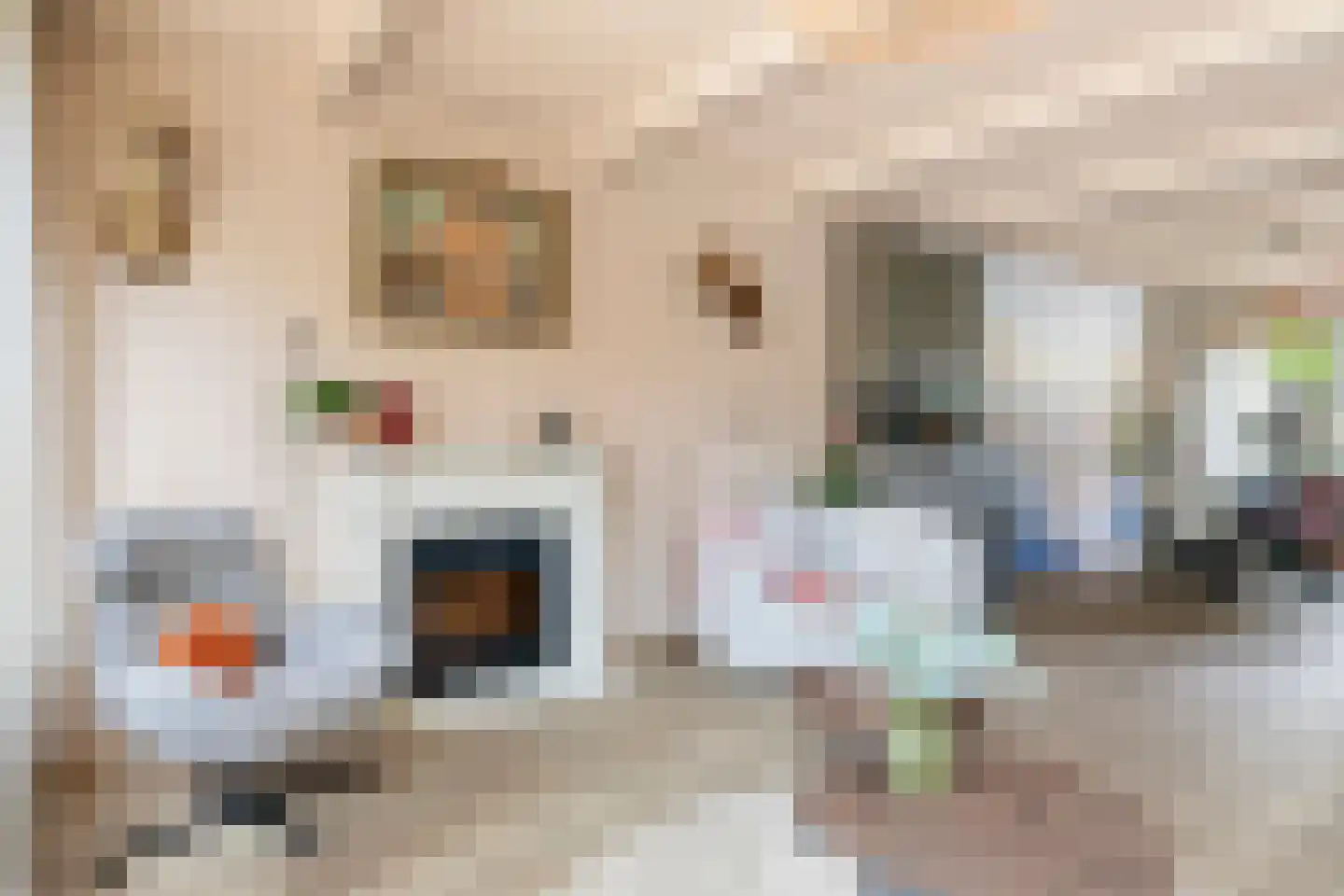 Pluimpot 14 Hansweert thumbnail 7