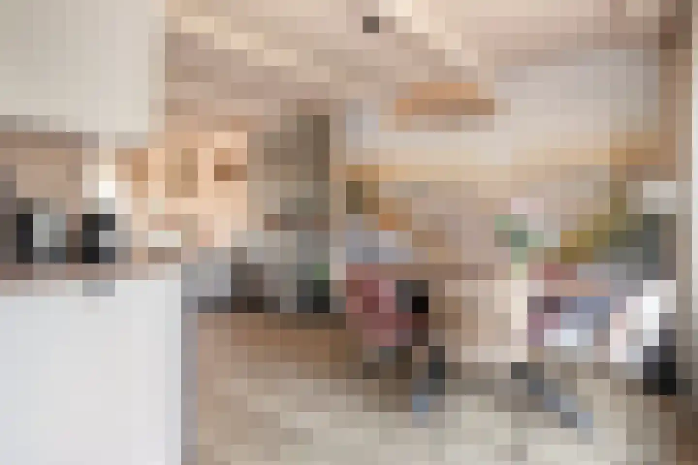 Pluimpot 14 Hansweert thumbnail 9