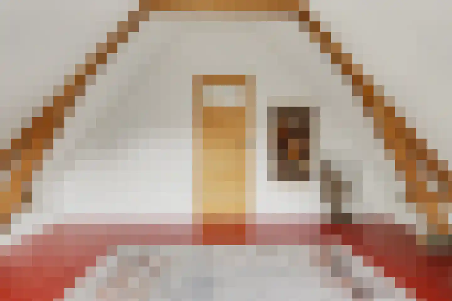 Pluimstraat 18 Middelburg thumbnail 19