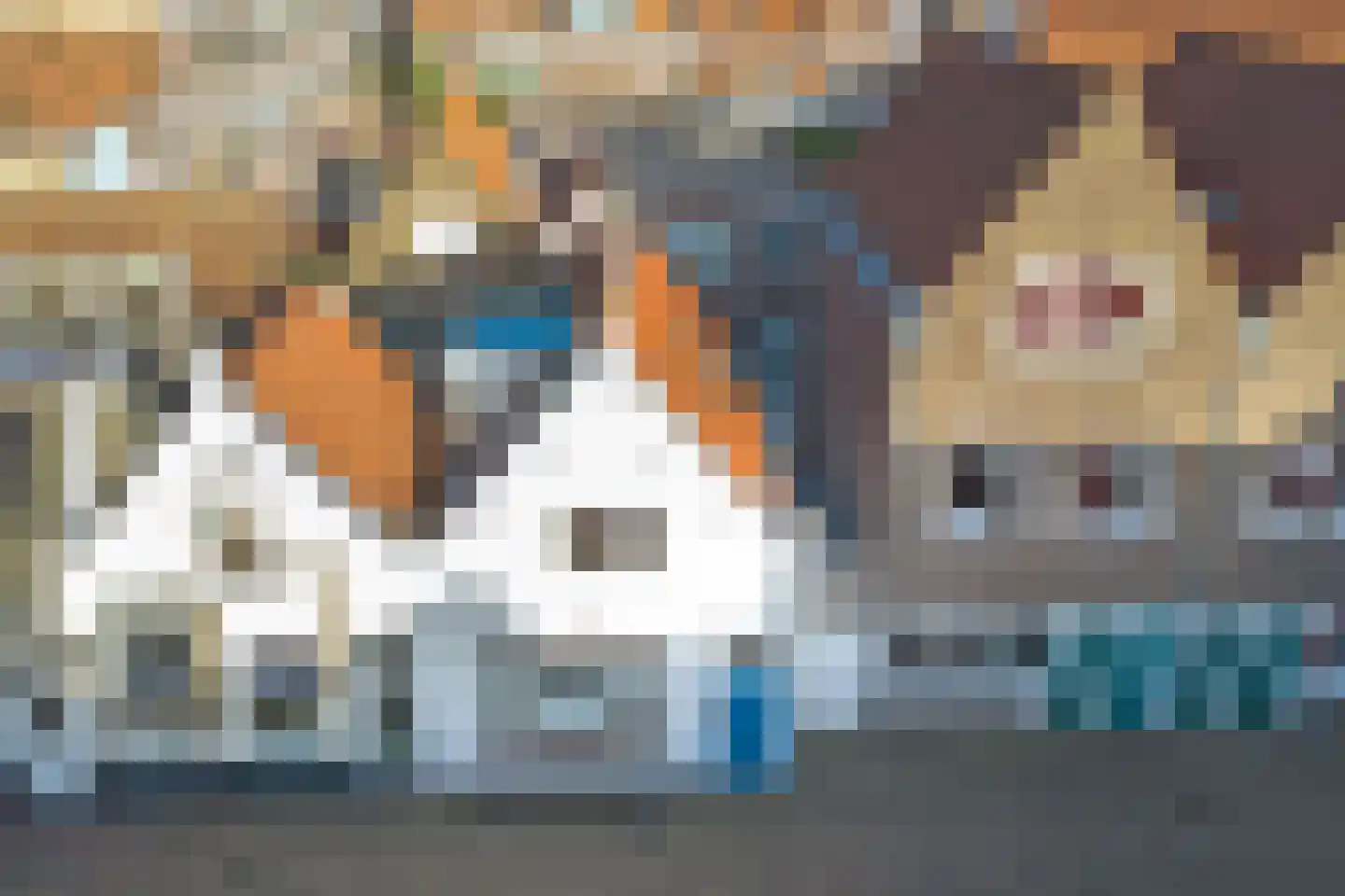 Pluimstraat 18 Middelburg thumbnail 28