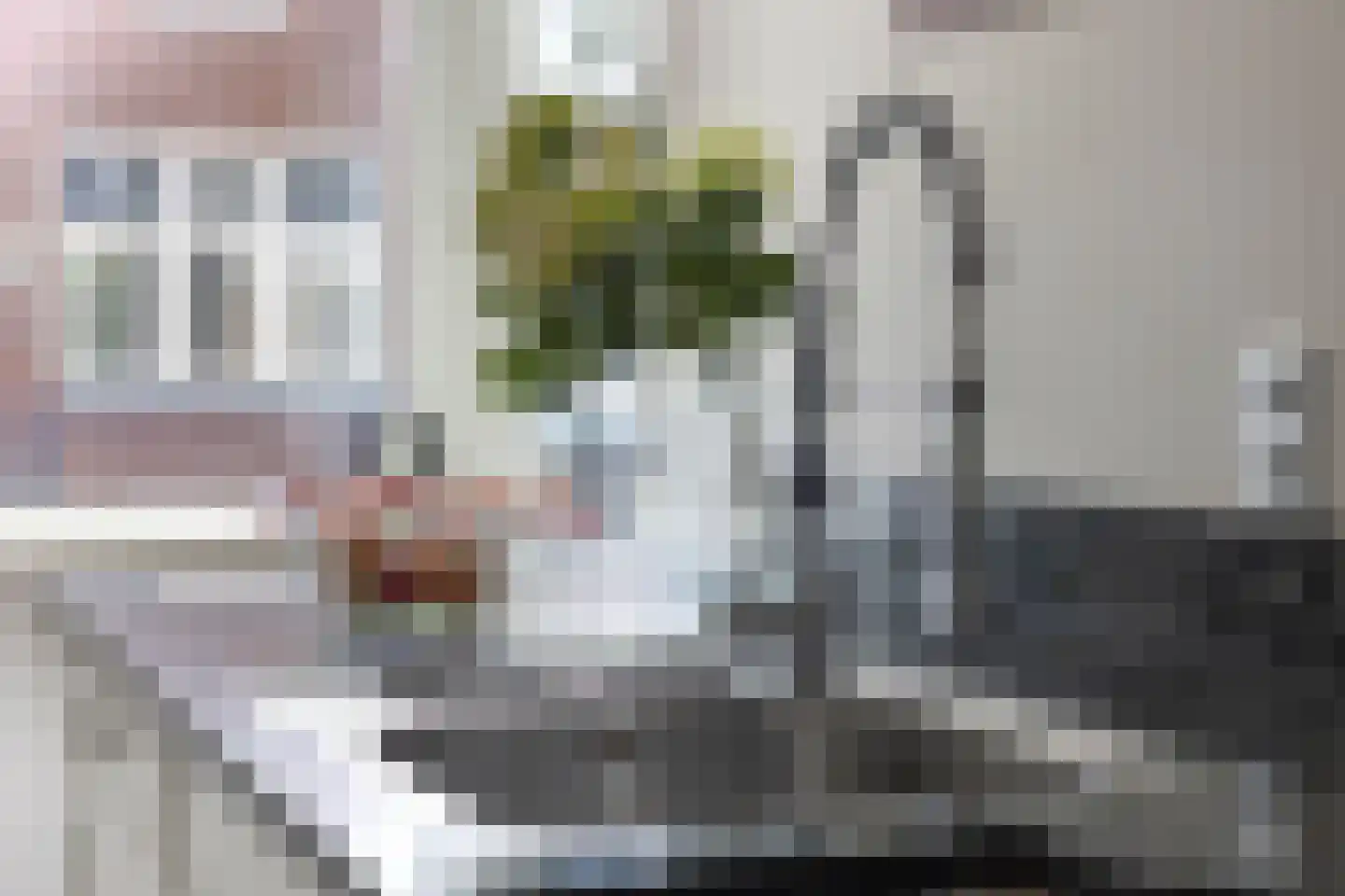 Pluimstraat 61 Enschede thumbnail 15