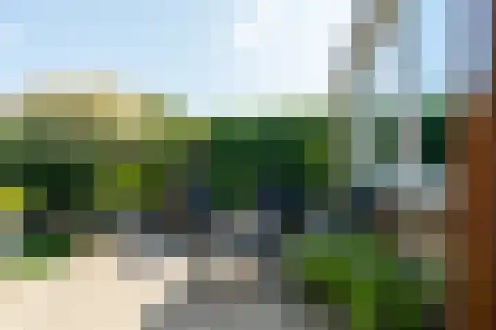 Pluimstraat 63 Enschede thumbnail 34