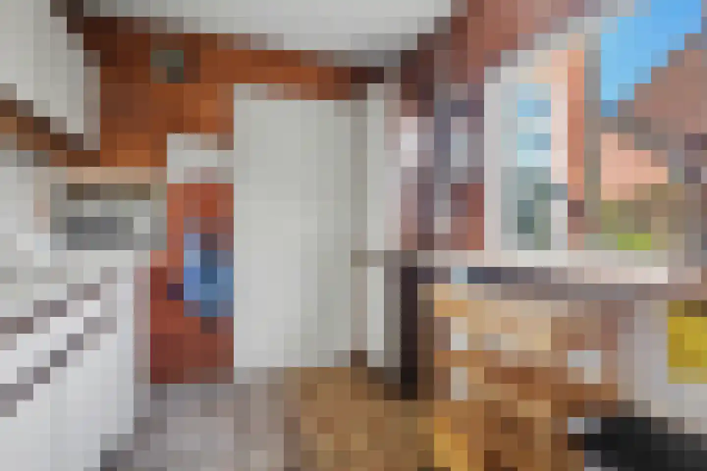 Pluimstraat 72 Enschede thumbnail 11