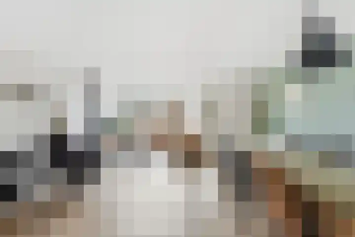 Pluimzegge 12 Nieuw-Lekkerland thumbnail 10