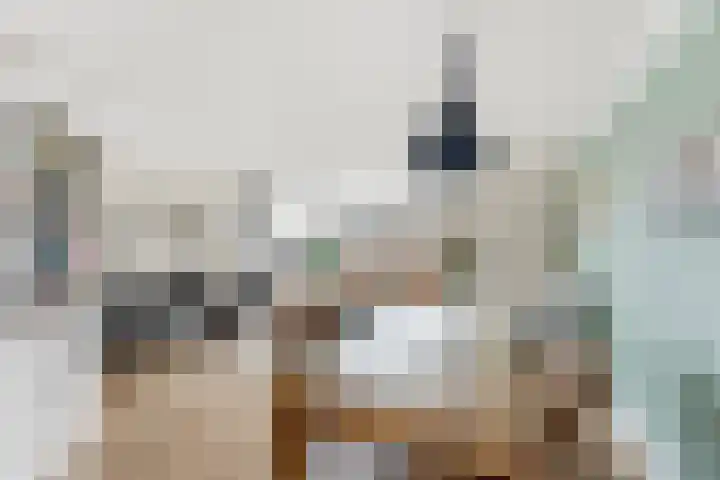Pluimzegge 12 Nieuw-Lekkerland thumbnail 11