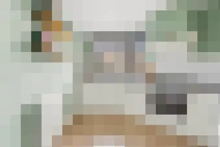 Pluimzegge 12 Nieuw-Lekkerland thumbnail 12