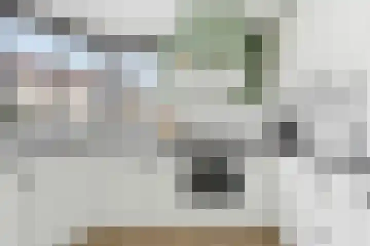 Pluimzegge 12 Nieuw-Lekkerland thumbnail 13