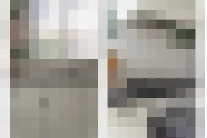 Pluimzegge 12 Nieuw-Lekkerland thumbnail 14