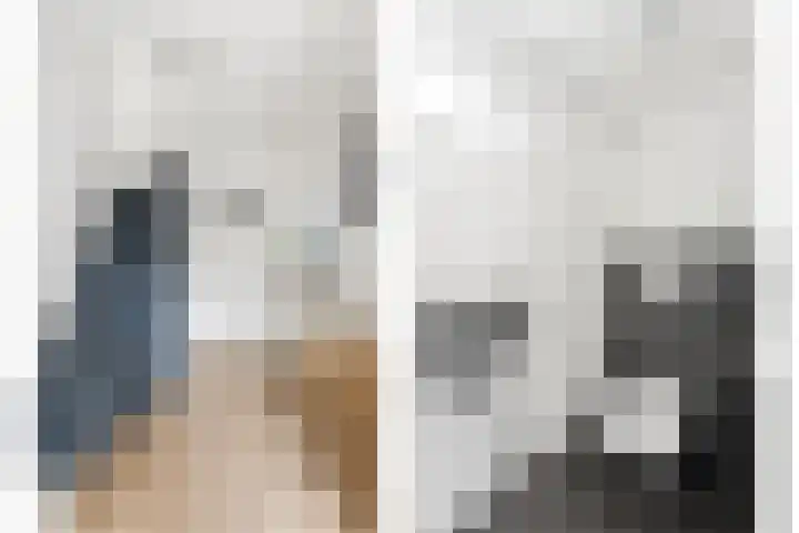 Pluimzegge 12 Nieuw-Lekkerland thumbnail 17