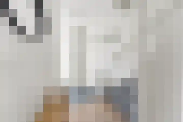 Pluimzegge 12 Nieuw-Lekkerland thumbnail 18