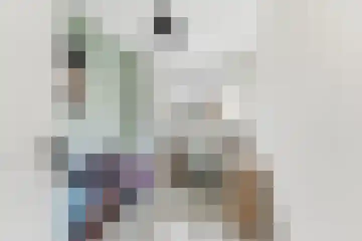 Pluimzegge 12 Nieuw-Lekkerland thumbnail 19