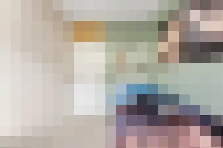 Pluimzegge 12 Nieuw-Lekkerland thumbnail 20