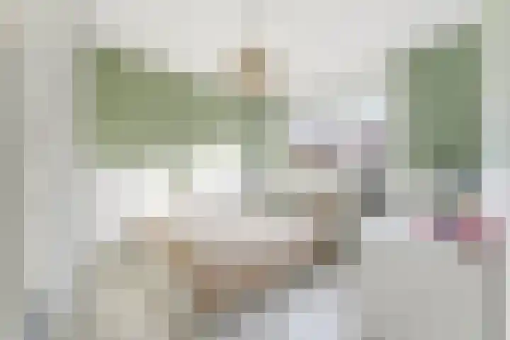Pluimzegge 12 Nieuw-Lekkerland thumbnail 24