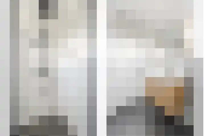Pluimzegge 12 Nieuw-Lekkerland thumbnail 27