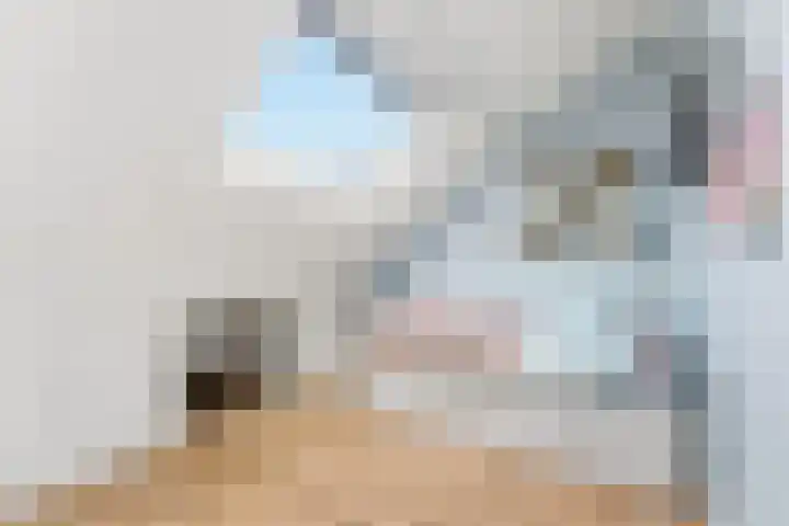 Pluimzegge 12 Nieuw-Lekkerland thumbnail 33