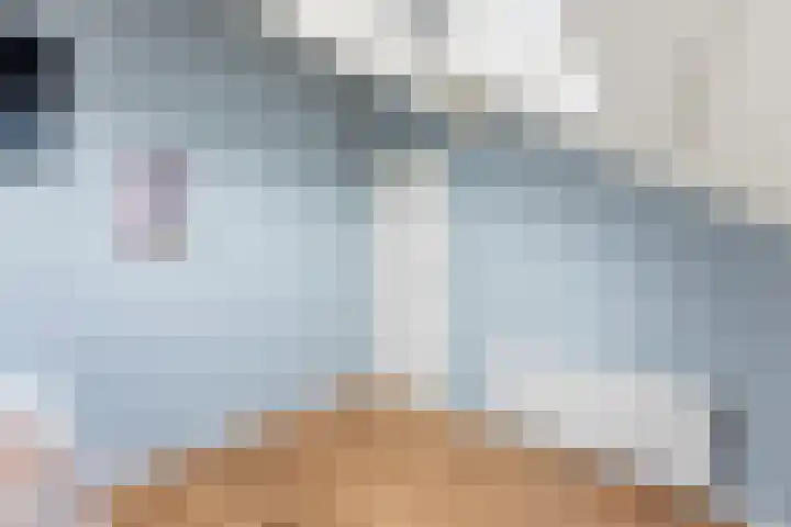 Pluimzegge 12 Nieuw-Lekkerland thumbnail 34