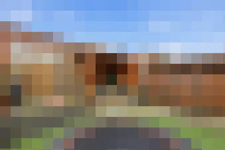 Pluimzegge 12 Nieuw-Lekkerland thumbnail 35