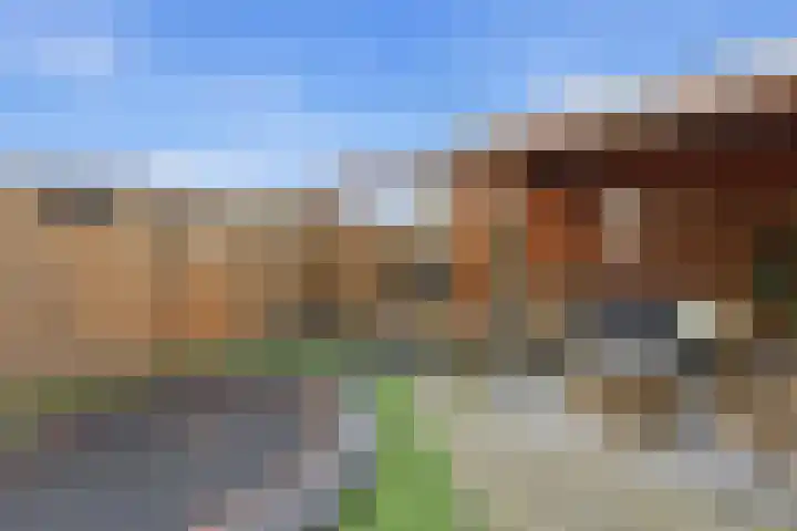 Pluimzegge 12 Nieuw-Lekkerland thumbnail 36