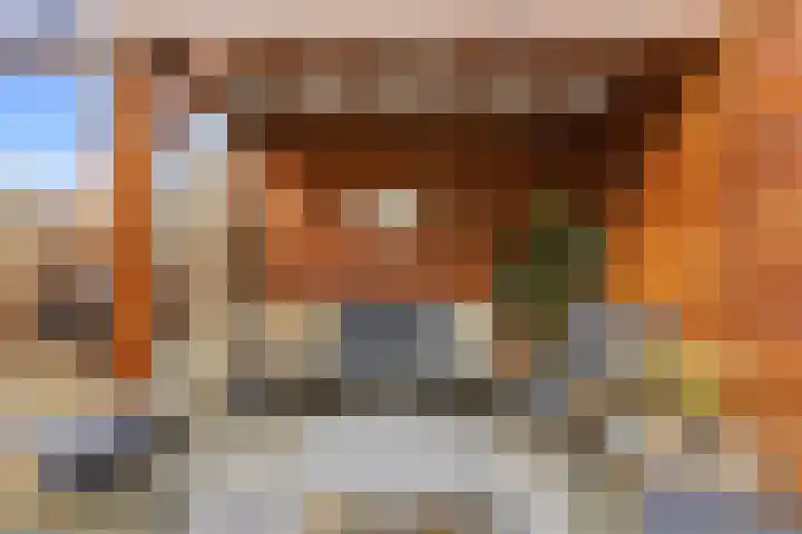Pluimzegge 12 Nieuw-Lekkerland thumbnail 37