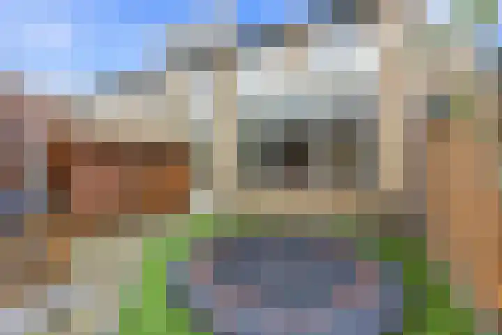 Pluimzegge 12 Nieuw-Lekkerland thumbnail 38