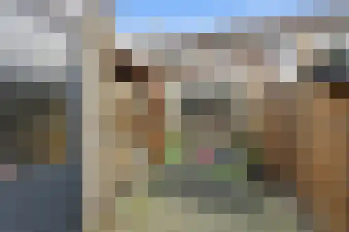 Pluimzegge 12 Nieuw-Lekkerland thumbnail 39