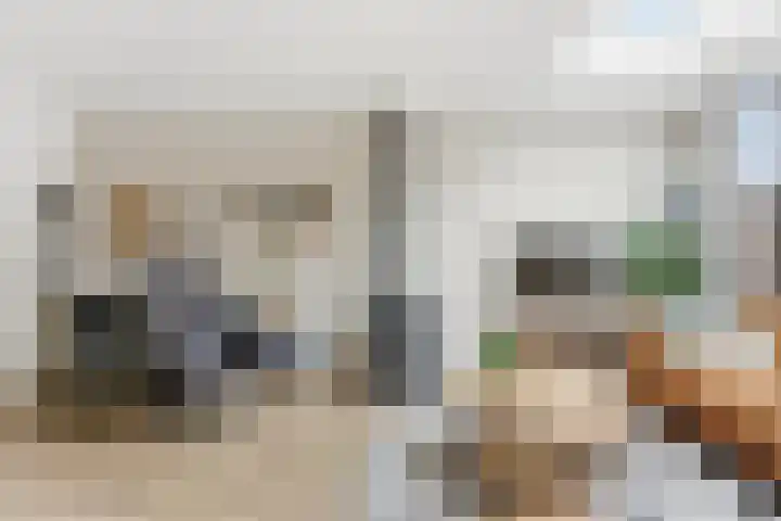 Pluimzegge 12 Nieuw-Lekkerland thumbnail 4