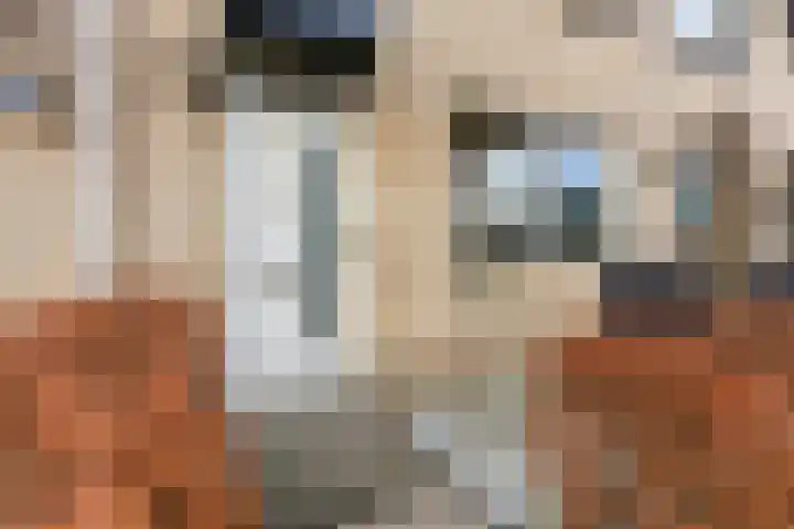 Pluimzegge 12 Nieuw-Lekkerland thumbnail 40