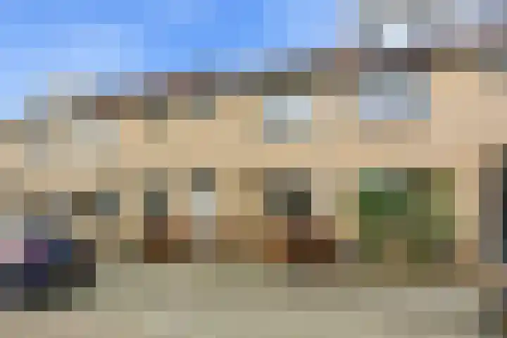 Pluimzegge 12 Nieuw-Lekkerland thumbnail 41