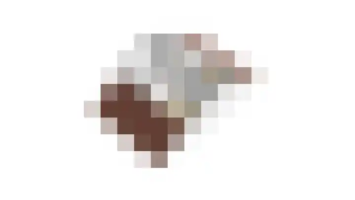 Pluimzegge 12 Nieuw-Lekkerland thumbnail 47