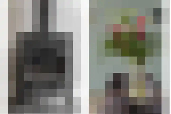 Pluimzegge 12 Nieuw-Lekkerland thumbnail 5