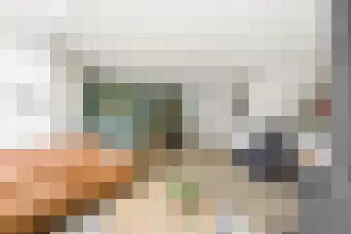 Pluimzegge 12 Nieuw-Lekkerland thumbnail 7