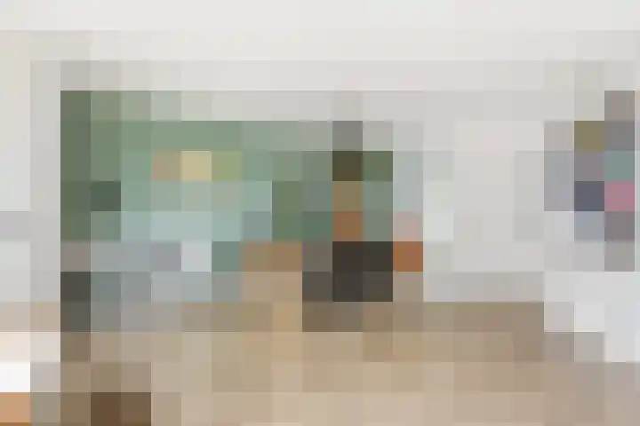 Pluimzegge 12 Nieuw-Lekkerland thumbnail 8