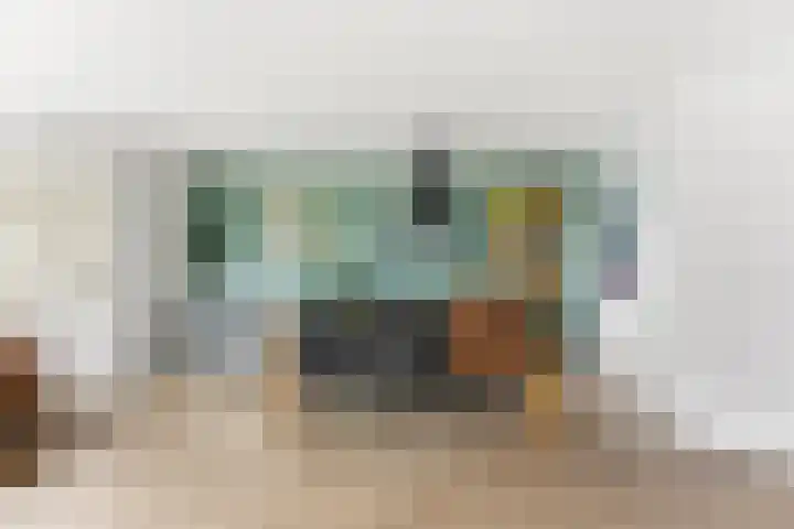 Pluimzegge 12 Nieuw-Lekkerland thumbnail 9