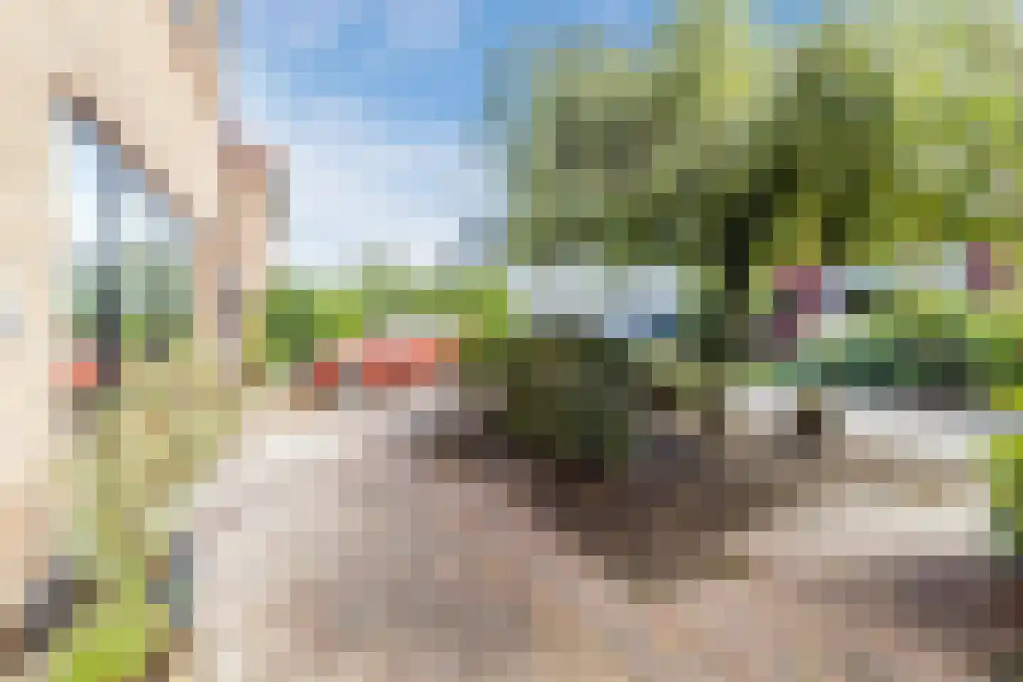 Pluimzegge 31 Den Haag thumbnail 10