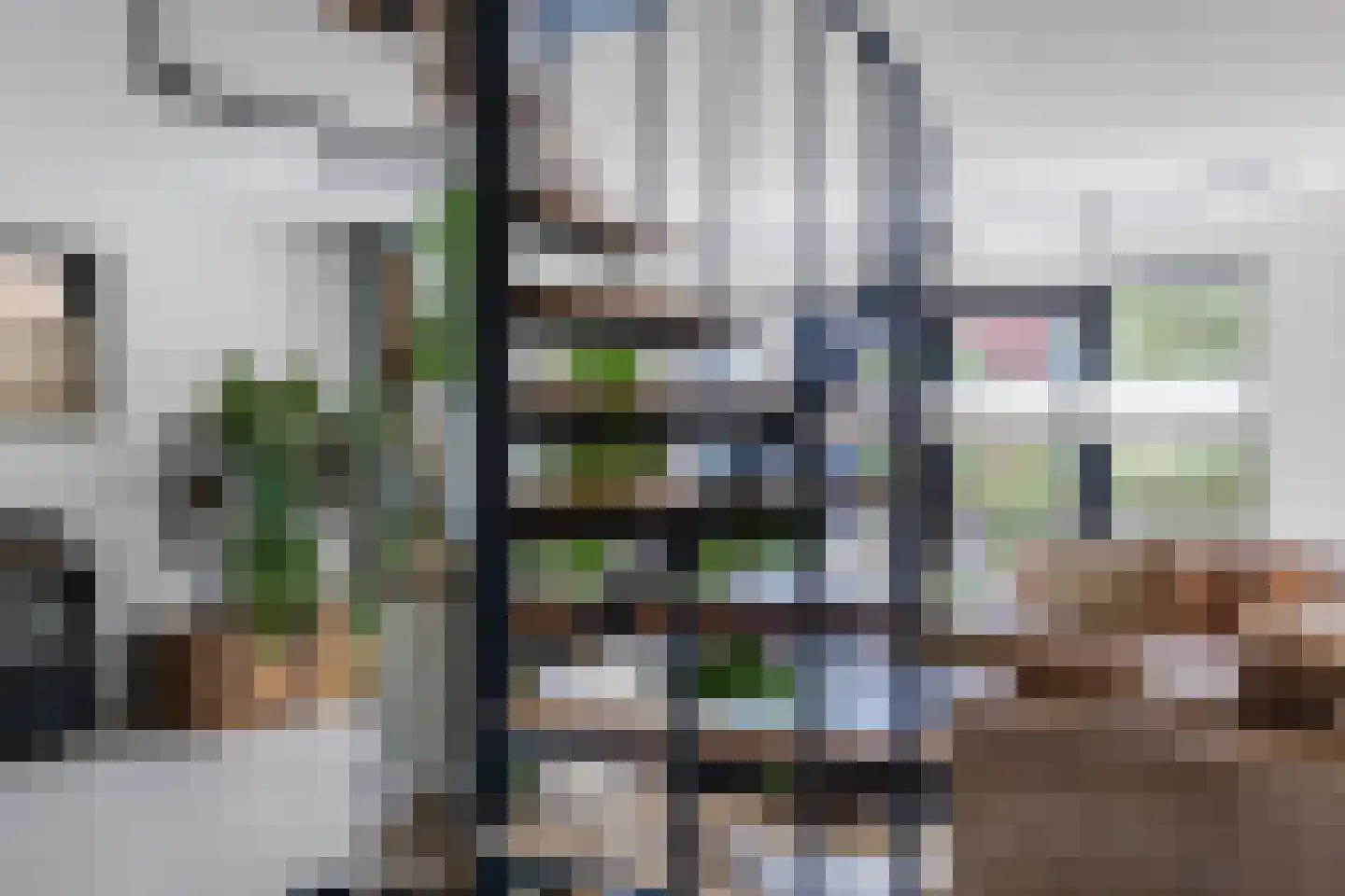 Pluimzegge 31 Den Haag thumbnail 15