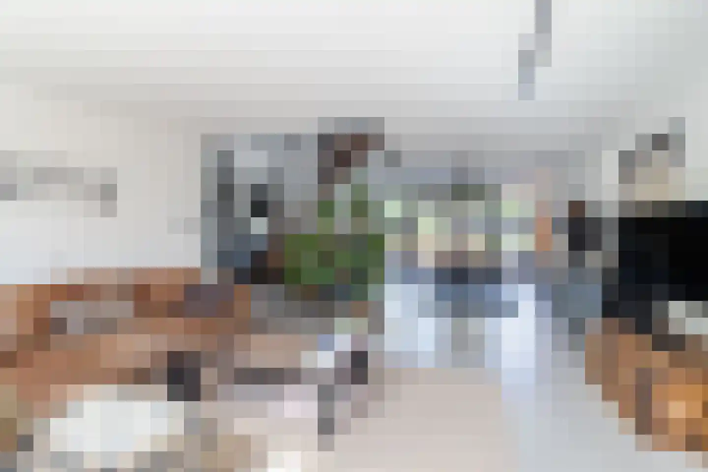 Pluimzegge 31 Den Haag thumbnail 16