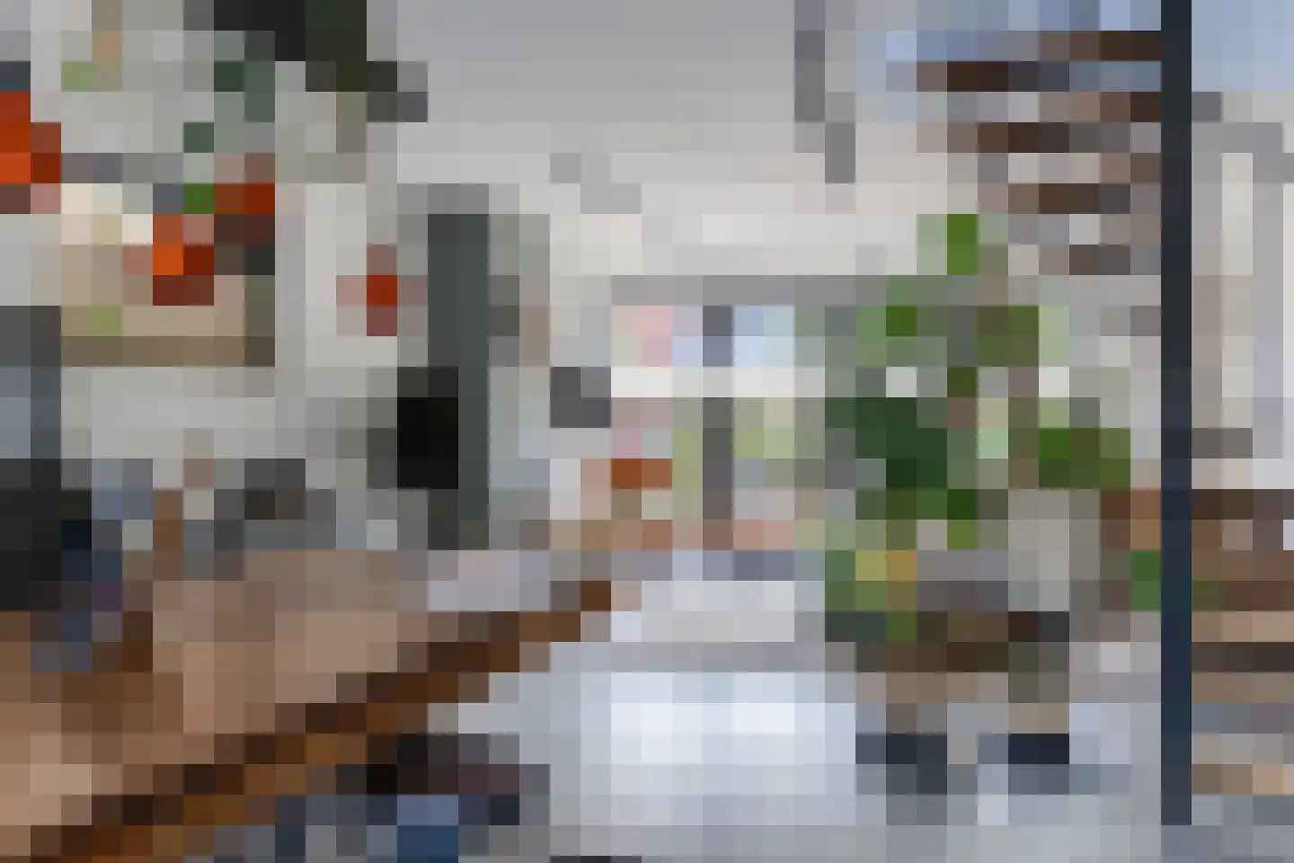 Pluimzegge 31 Den Haag thumbnail 17