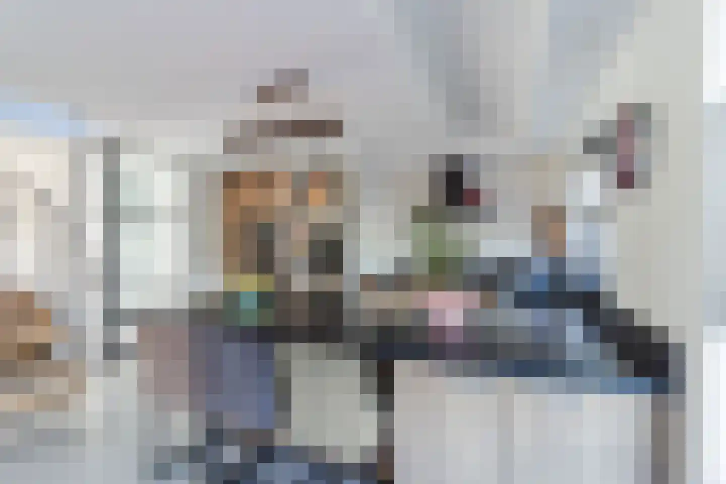 Pluimzegge 31 Den Haag thumbnail 18