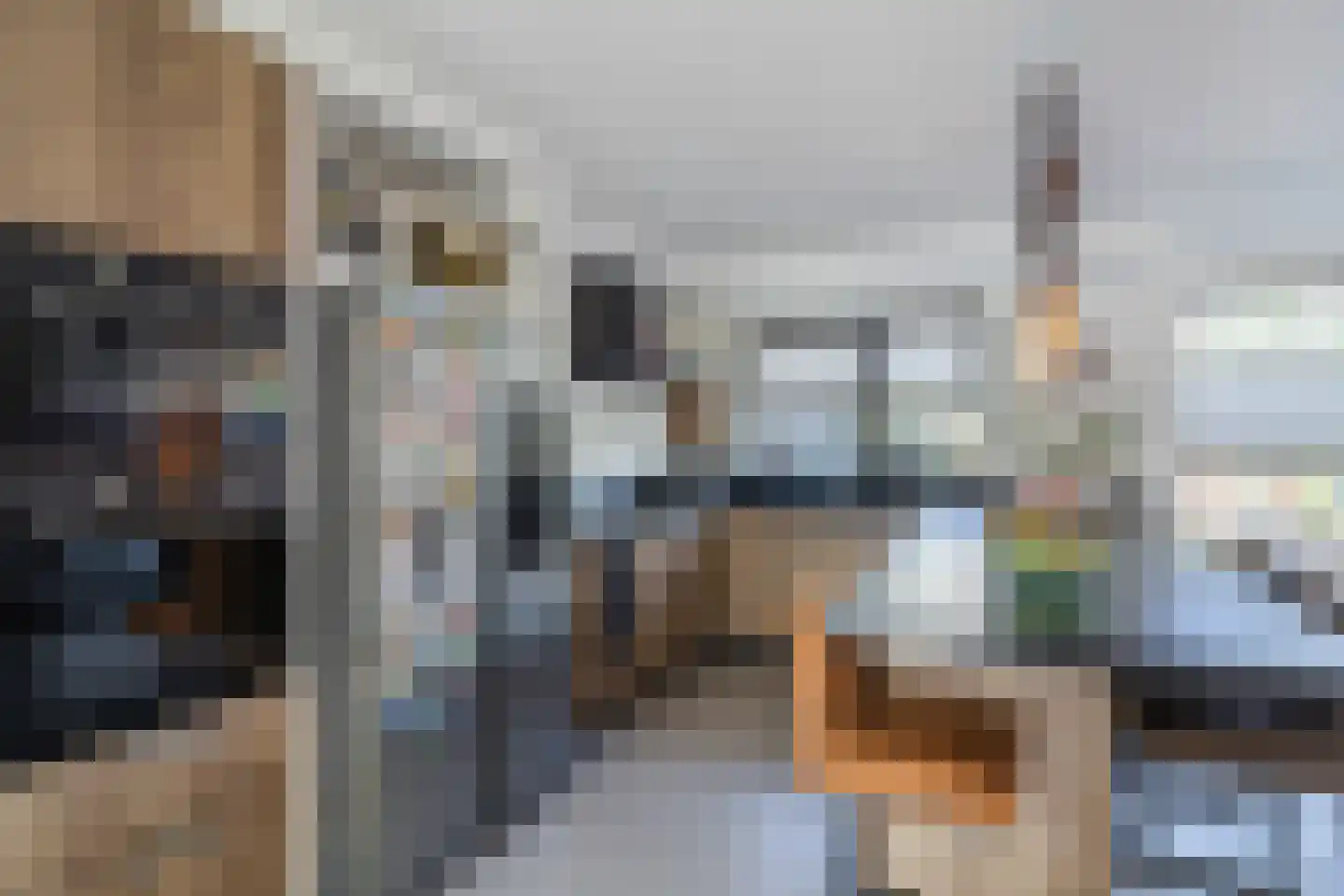 Pluimzegge 31 Den Haag thumbnail 19