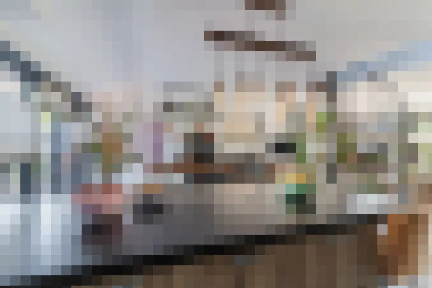 Pluimzegge 31 Den Haag thumbnail 21