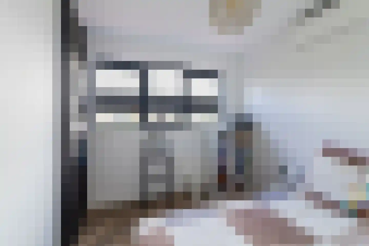 Pluimzegge 31 Den Haag thumbnail 28