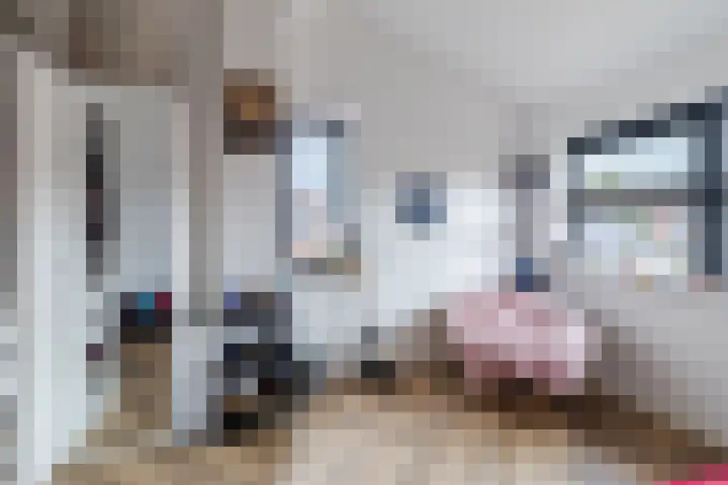 Pluimzegge 31 Den Haag thumbnail 36