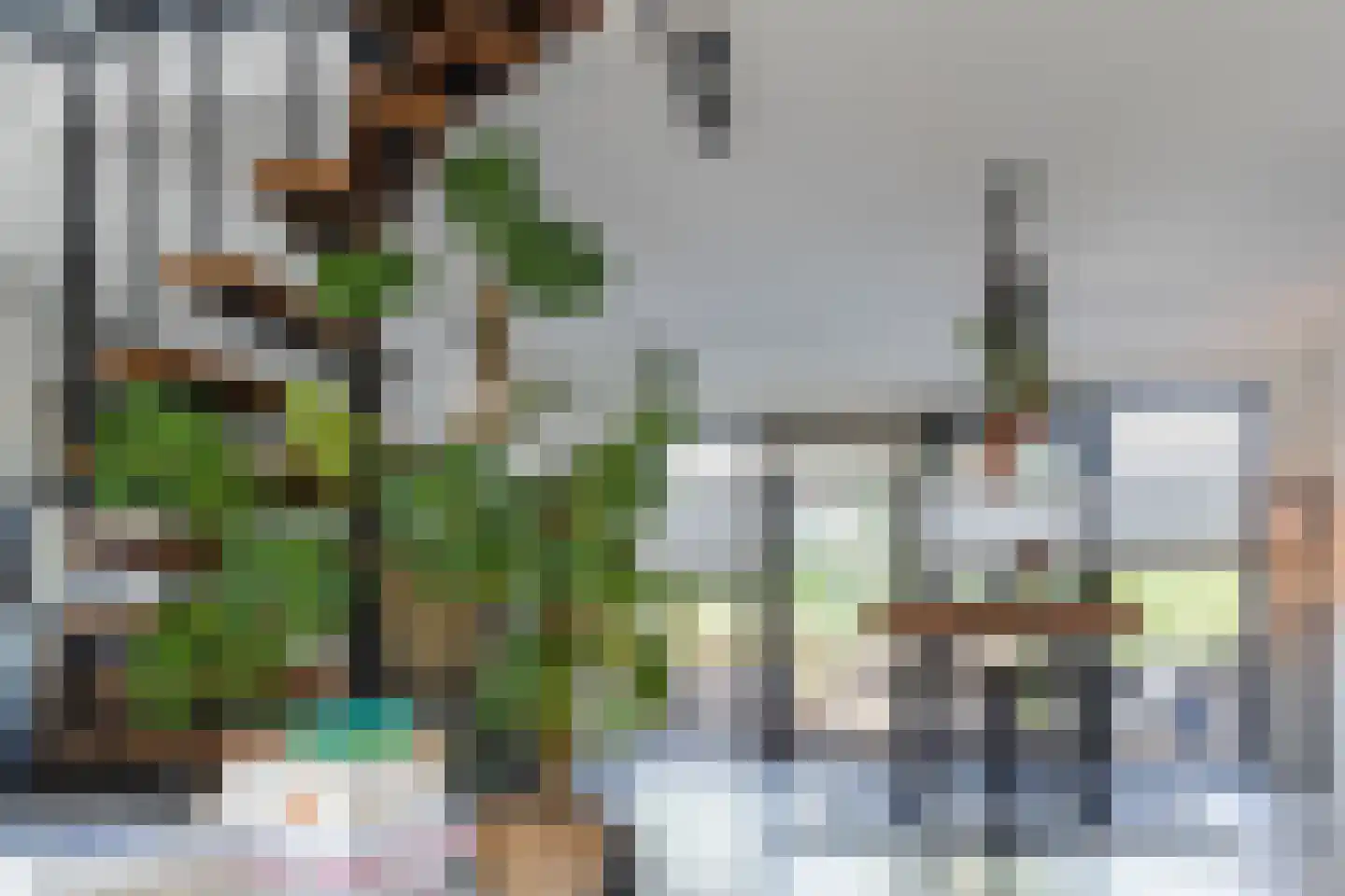 Pluimzegge 31 Den Haag thumbnail 4