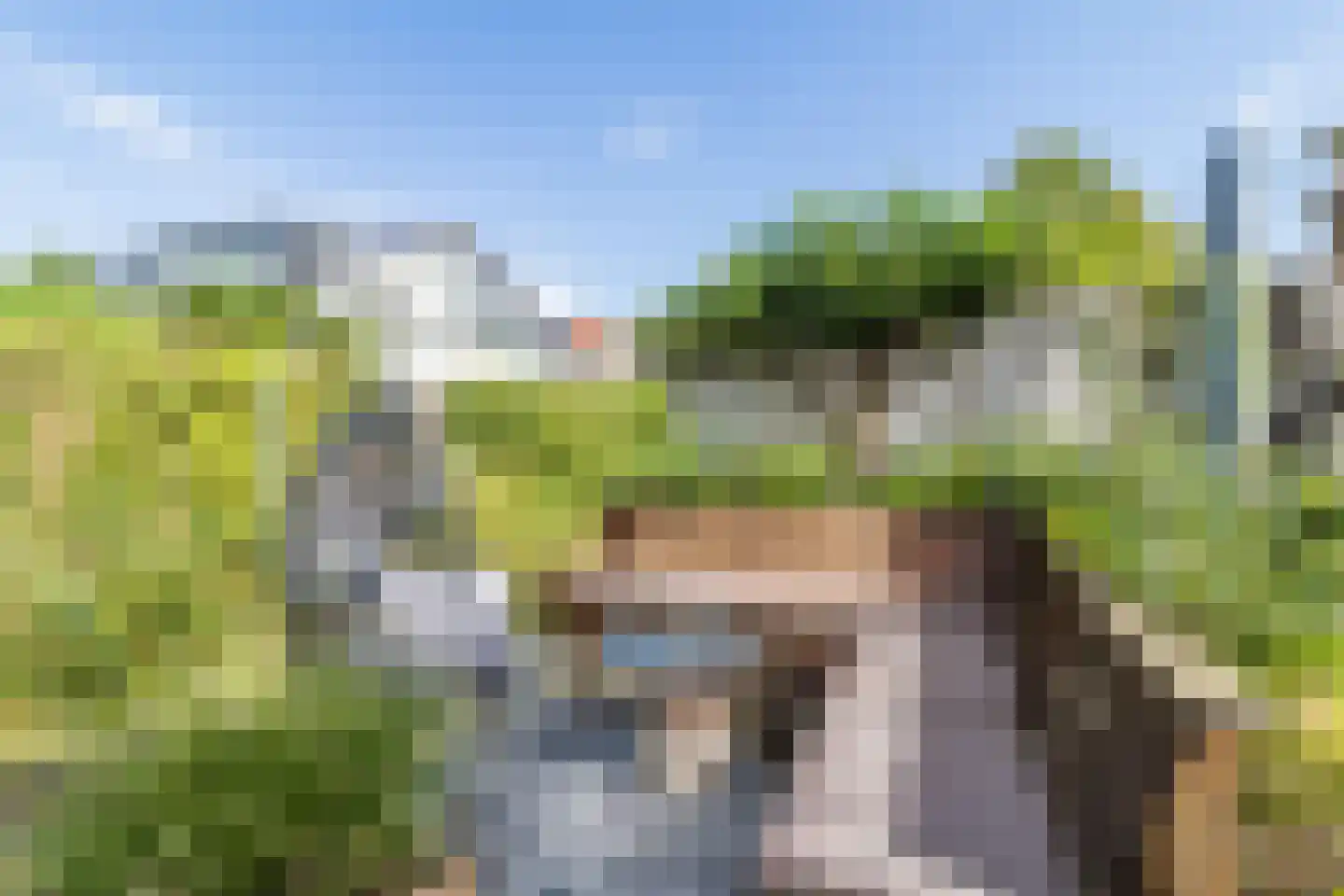 Pluimzegge 31 Den Haag thumbnail 41